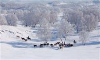 雪原牧马人