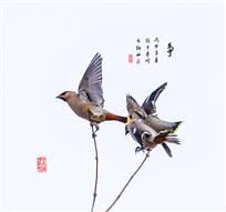 争