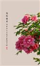 陪嫁牡丹