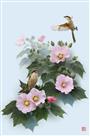 《芙蓉伯劳》