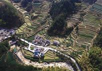 古村梯田