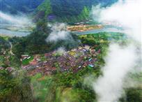 竹林深处有人家1