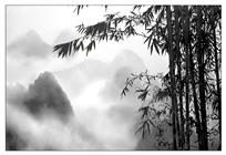 空山新雨后