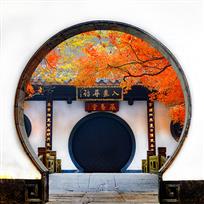 入画寻诗