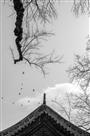 祥和