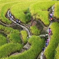 放学路上