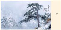 青松雪韵