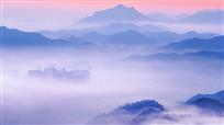 晨雾中掘起