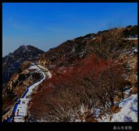 泰山冬景图