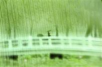 雨中