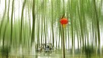 林间