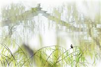守望