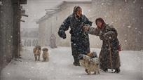 《雪中情》