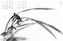 画意摄影墨兰图