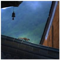 屋檐上的小精灵