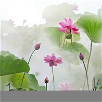 池塘仙境