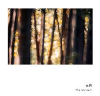 光阴