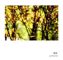 缤纷