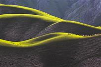 天工神笔美人腰