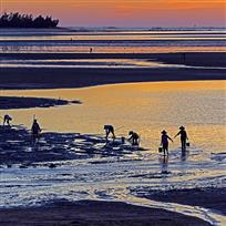 夕色流金