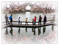 《等你花开》