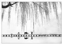 《梦里水乡》