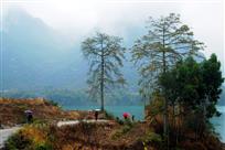 烟雨三月红水河