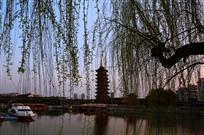 春风又绿运河岸