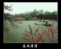 《春雨潇潇》