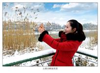《古黄河畔拍雪景》