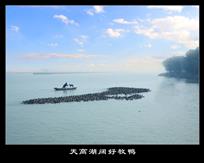《天高湖阔好牧鸭》