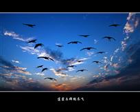 《落霞与群鹤齐飞》