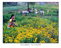 《美景引来摄影人&nbsp;&nbsp;塞上江南在淮阴》