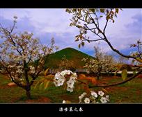 《漂母墓之春》