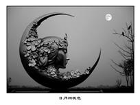 《日月洲夜色》