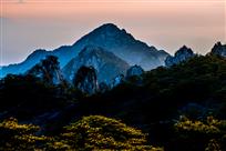 《晓日映松花》