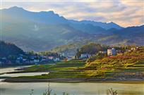 阳光沐浴下的乡村