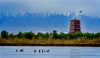 塞上江南,湿地高台