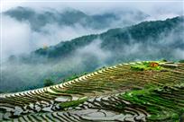 云遮雾绕梯田
