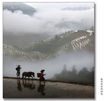 我与白云同回家