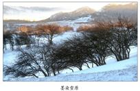 墨染雪原