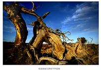 未能扶起兄弟的千年遗憾