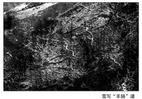 雪写“羊肠”道