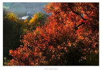 艳阳高照炊烟迟