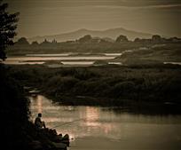 ,一人独占一塘秋