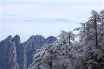 黄山雪霁图
