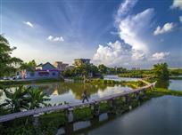 九曲水龙桥风光