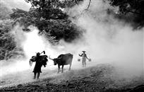 《羡煞神仙&nbsp;》