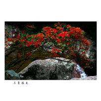 不负韶光