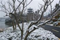 雪霁王家河